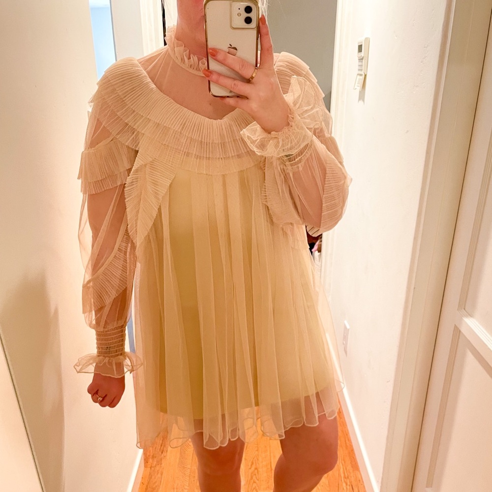 Zara Tulle Dress